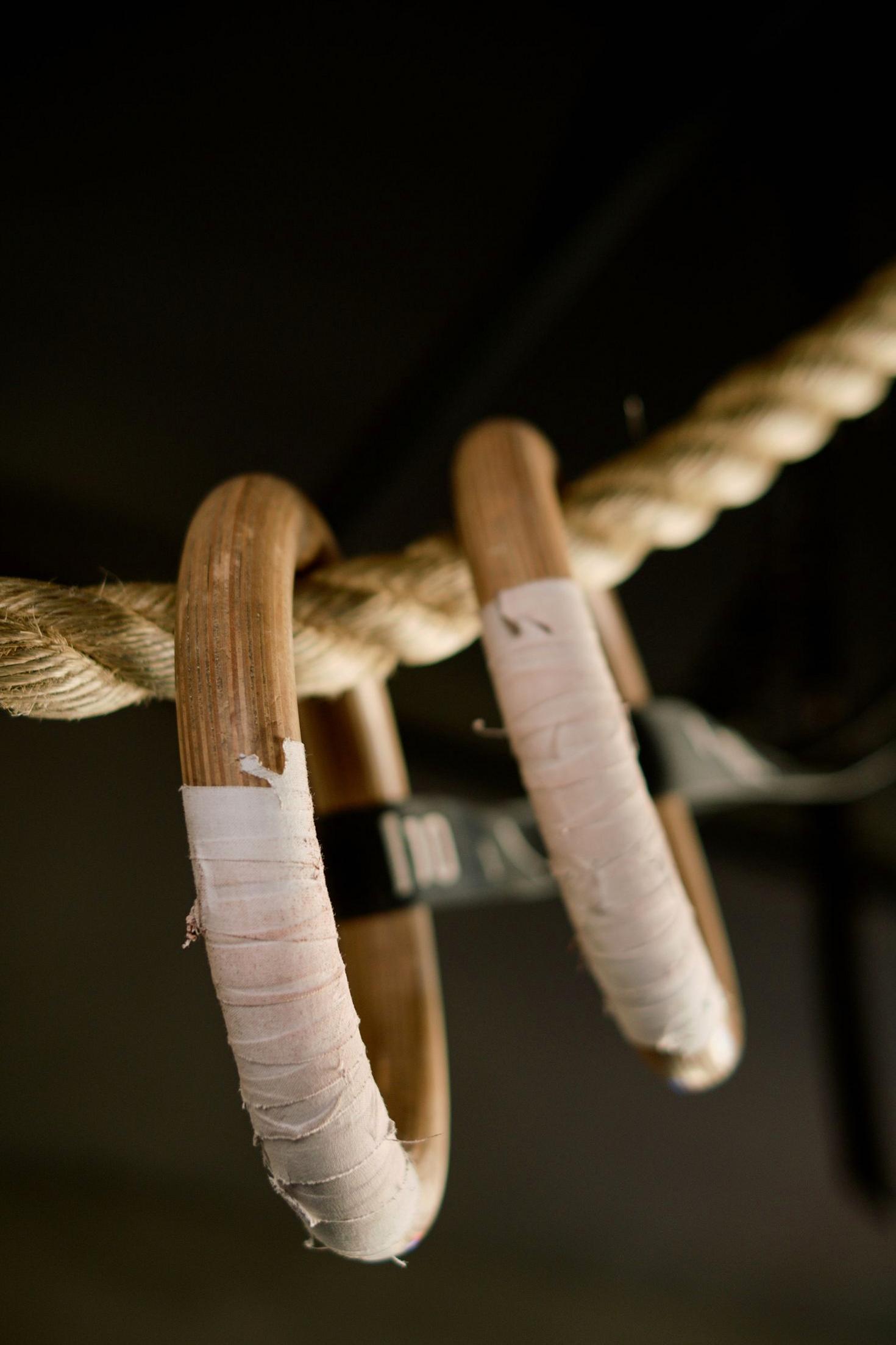 Calisthenics Rig